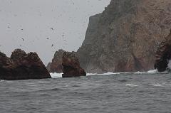 1131-Isole Ballestas,19 luglio 2013